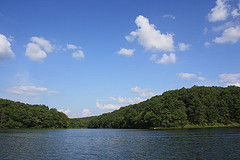 Trout Lodge